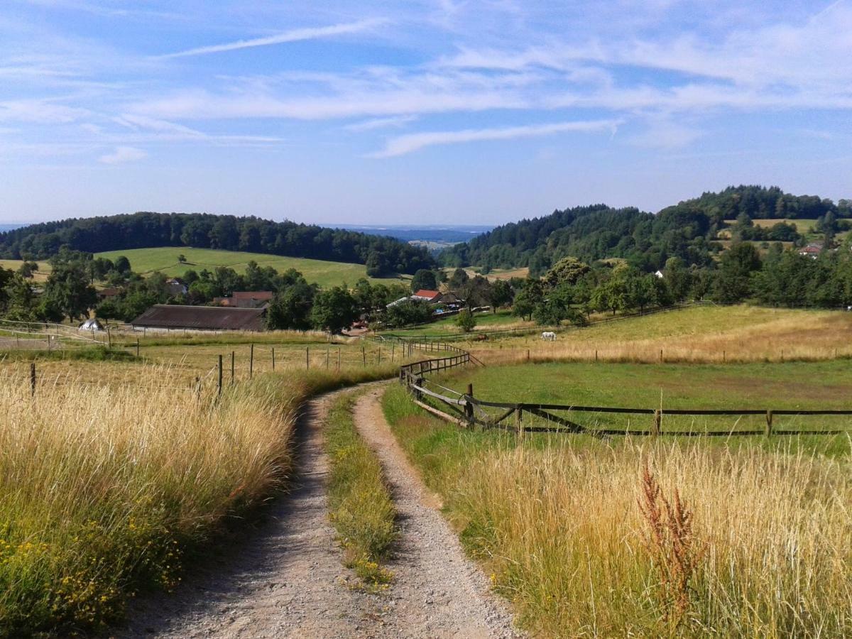 FeWo Darsberg Neckarsteinach Exterior foto