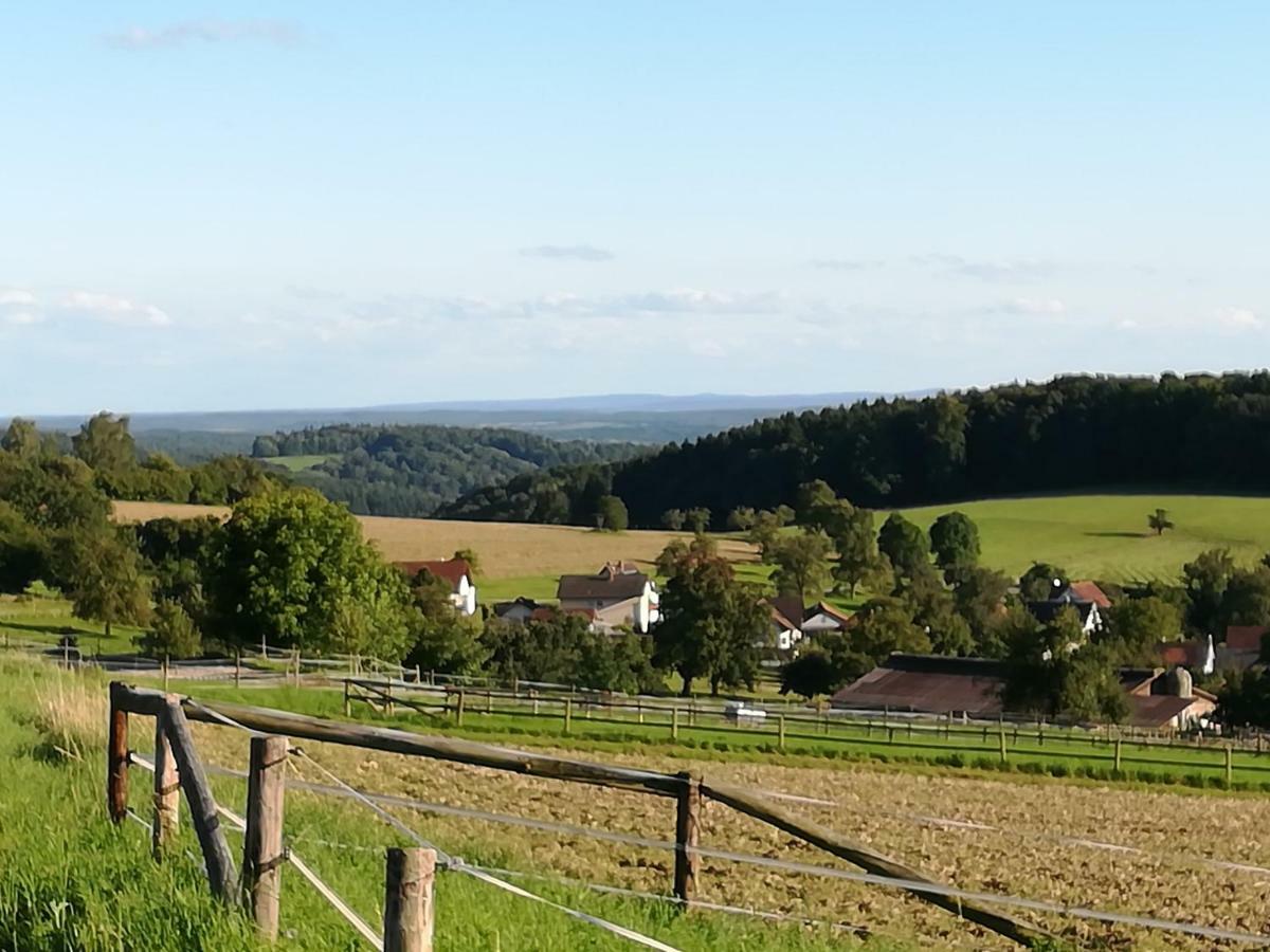 FeWo Darsberg Neckarsteinach Exterior foto